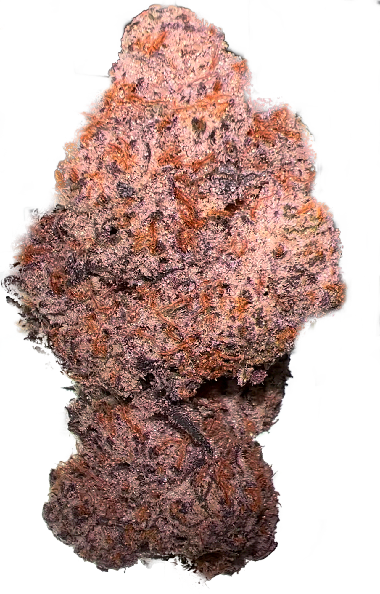 BCDF3961-8A21-4369-B6D2-8BB8C6E25DA0